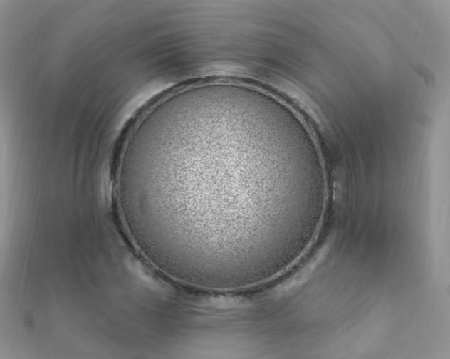 X0000112081117200908111449