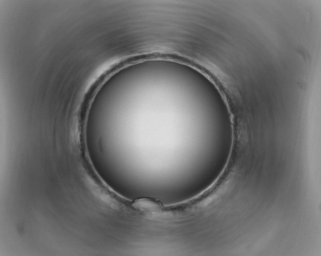 X0000112081118200908111449