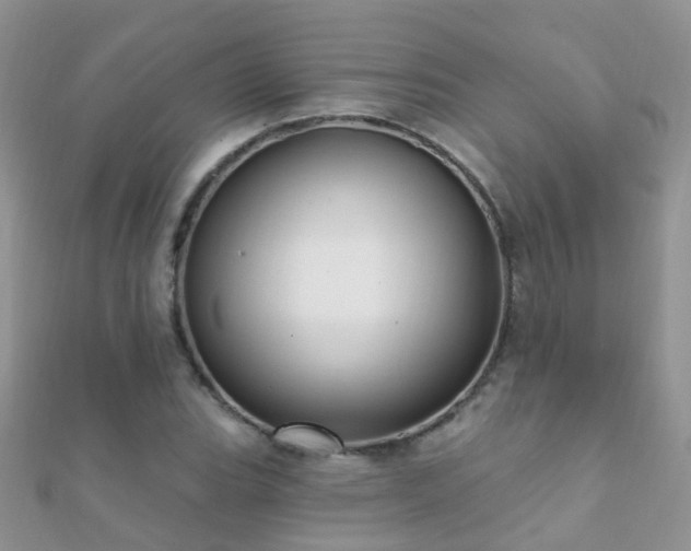 X0000112081119200908111449