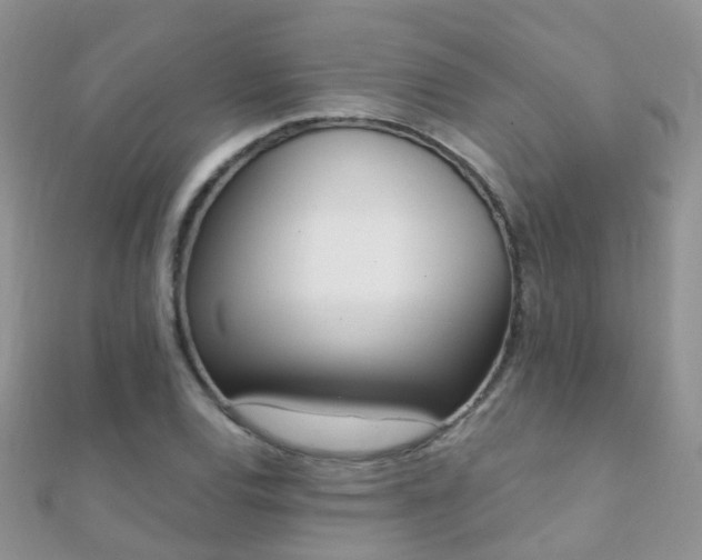 X0000112081120200908111449
