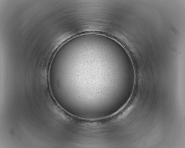 X0000112081121200908111449