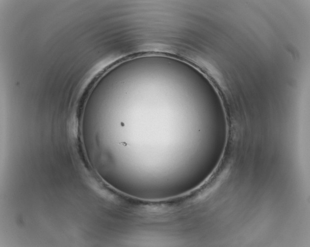 X0000112081125200908111449