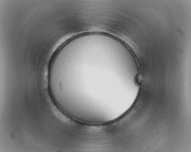 X0000112081126200908111449