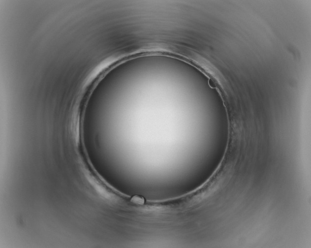 X0000112081127200908111449