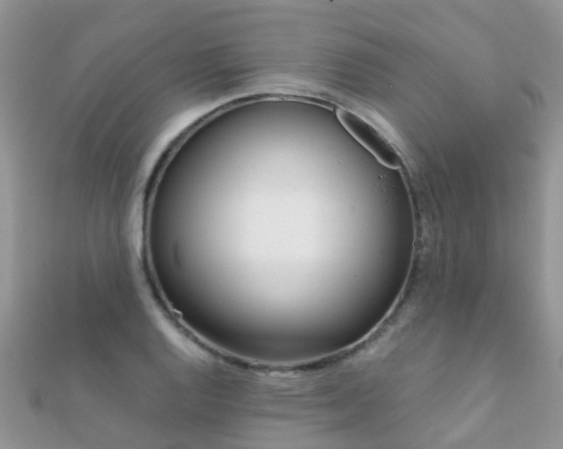 X0000112081128200908111449