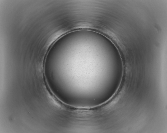 X0000112081129200908111449