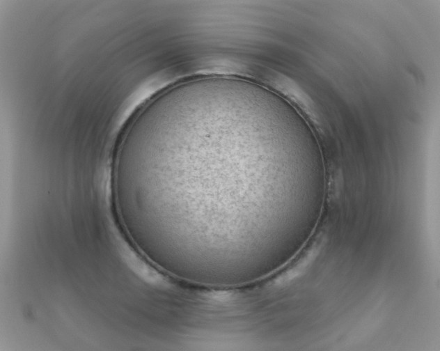 X0000112081130200908111449