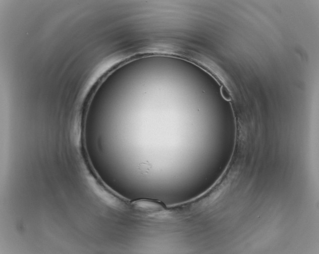 X0000112081131200908111449
