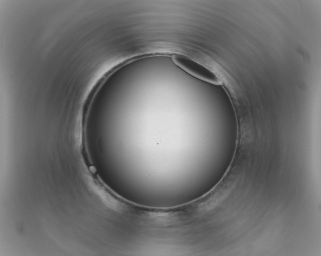 X0000112081132200908111449