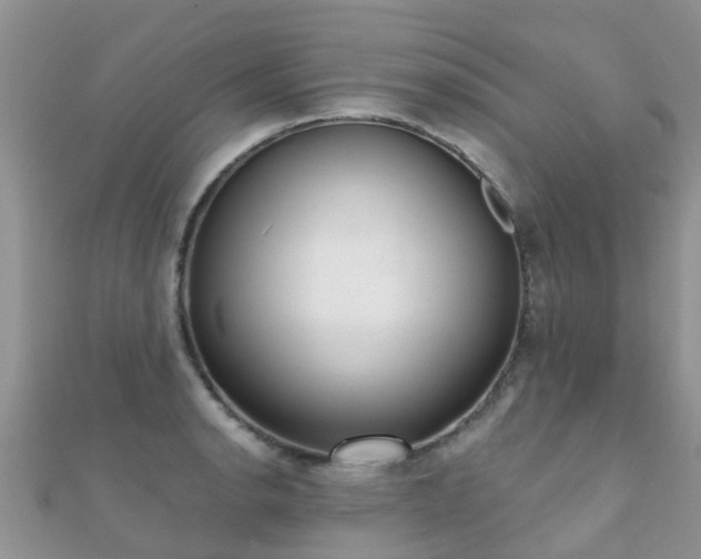X0000112081134200908111449