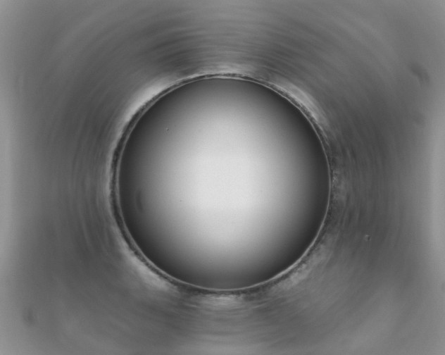 X0000112081135200908111449