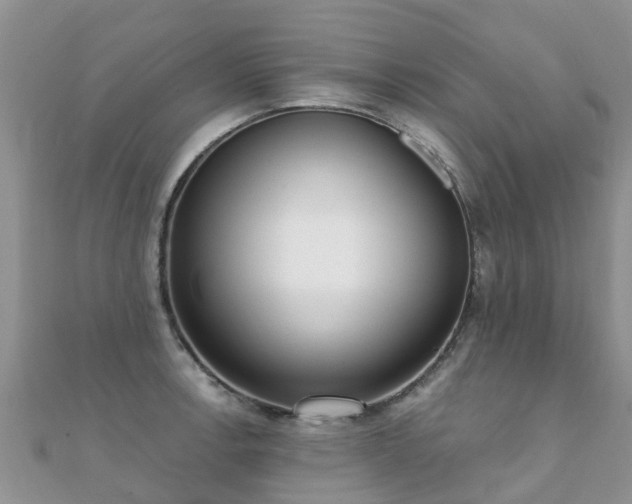 X0000112081138200908111449