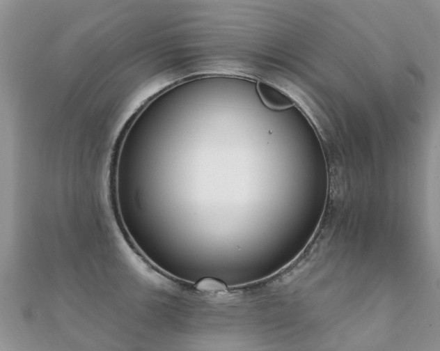 X0000112081139200908111449