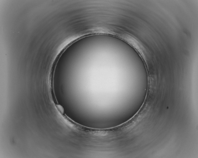 X0000112081141200908111449