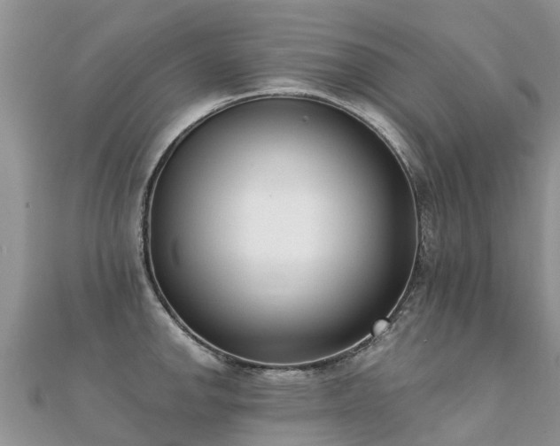 X0000112081142200908111449