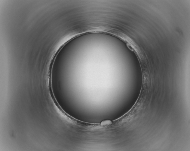 X0000112081143200908111449