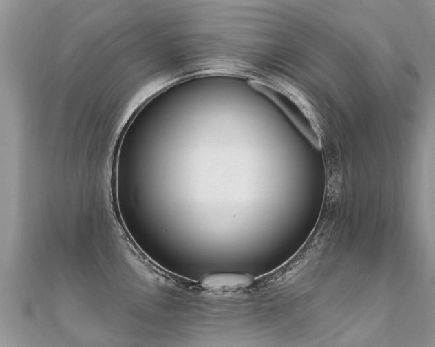 X0000112081146200908111449