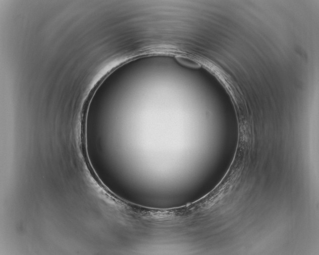 X0000112081147200908111449