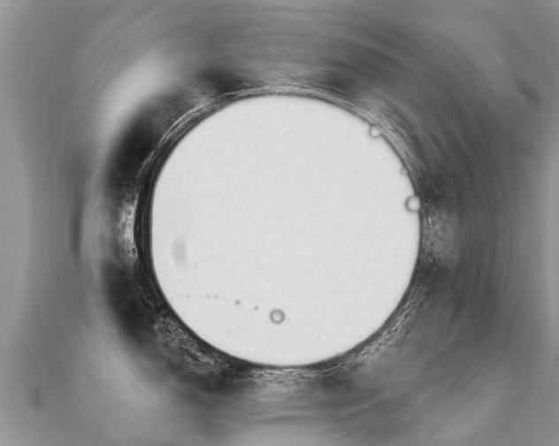 X0000112081150200908111449