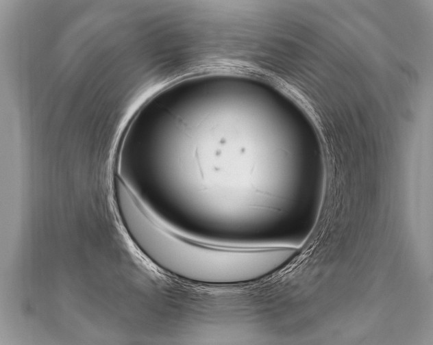 X0000112081152200908111449