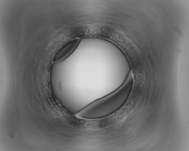 X0000112081153200908111449