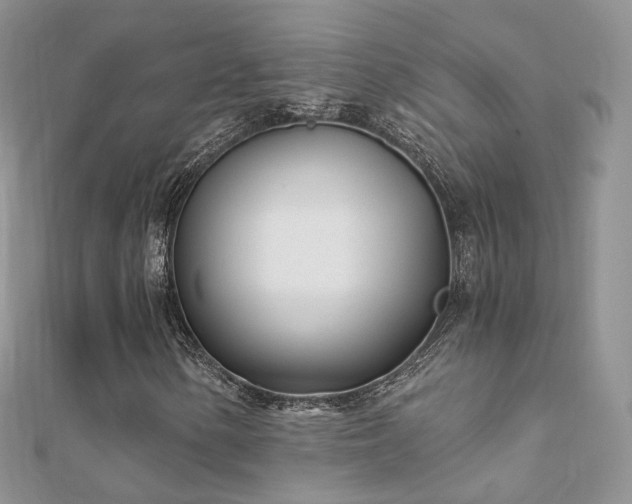 X0000112081154200908111449