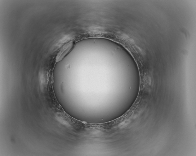 X0000112081157200908111449