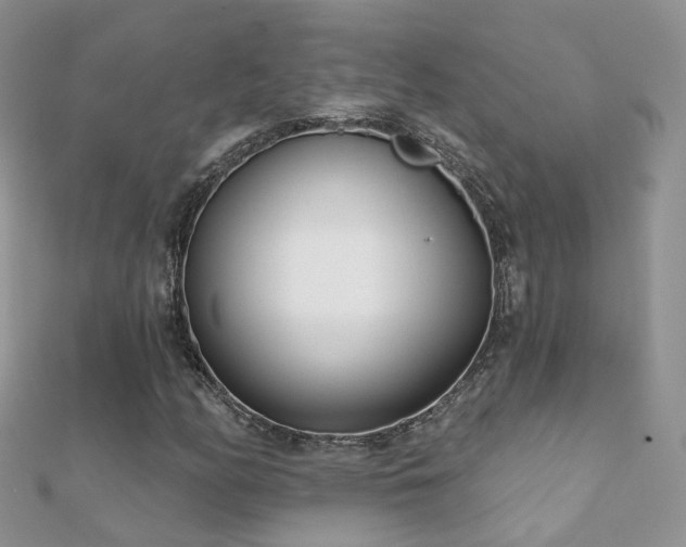 X0000112081158200908111449
