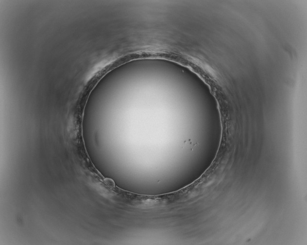 X0000112081160200908111449
