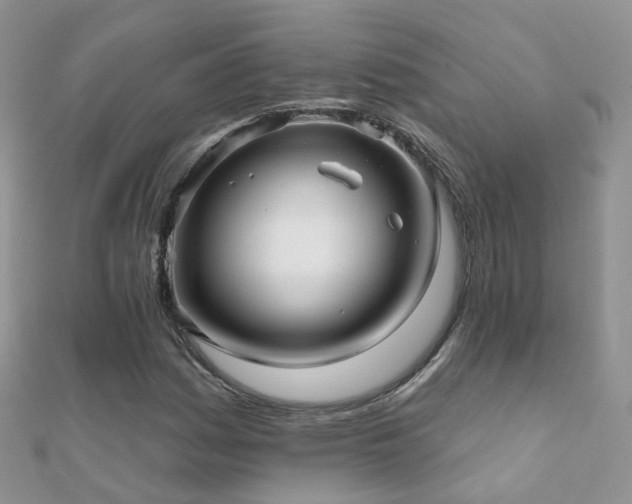 X0000112081161200908111449