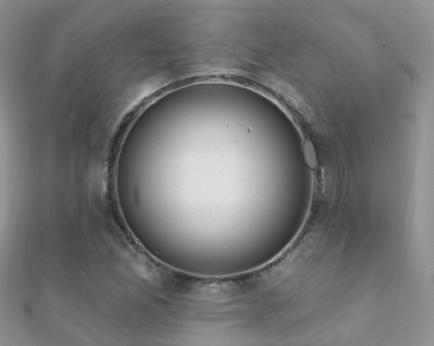 X0000112081165200908111449