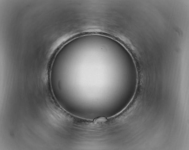 X0000112081167200908111449