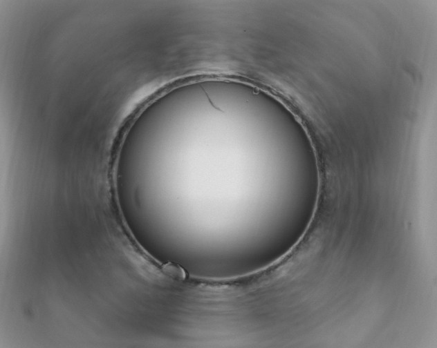 X0000112081168200908111449