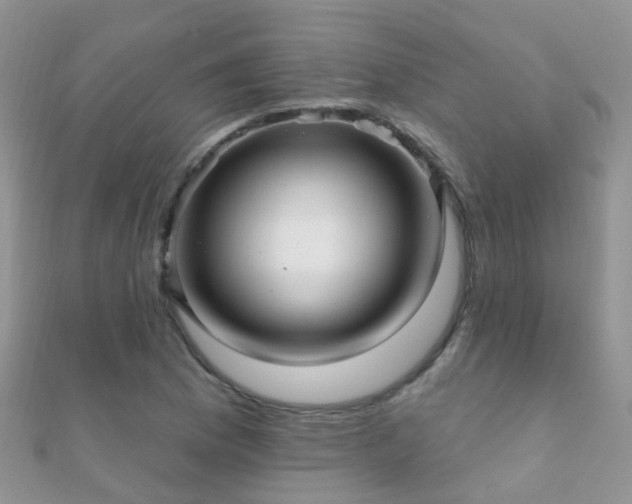 X0000112081169200908111448