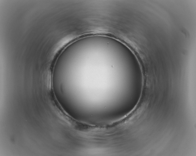 X0000112081171200908111448