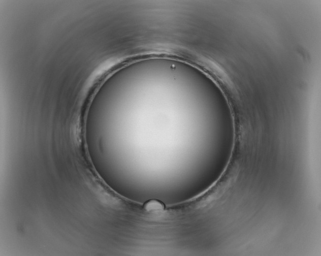 X0000112081172200908111448
