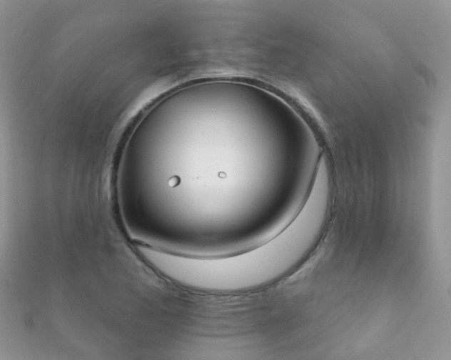 X0000112081173200908111448
