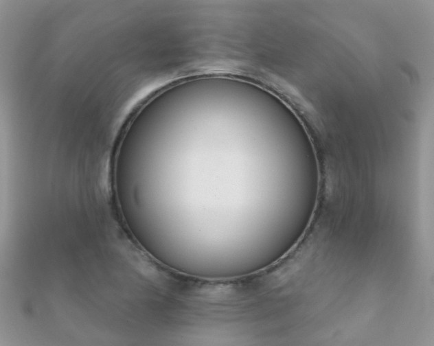 X0000112081174200908111448