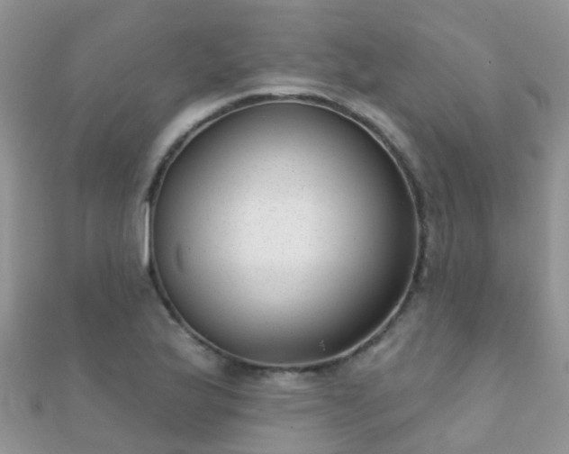 X0000112081175200908111448