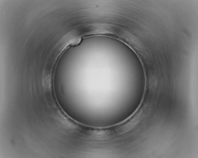 X0000112081177200908111448