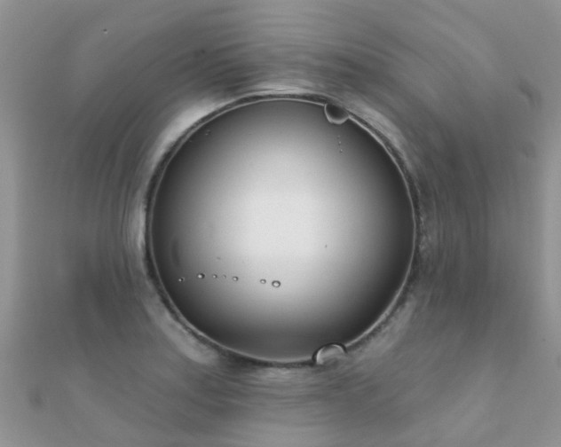 X0000112081179200908111448