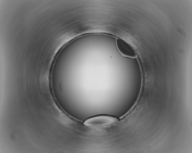 X0000112081181200908111448