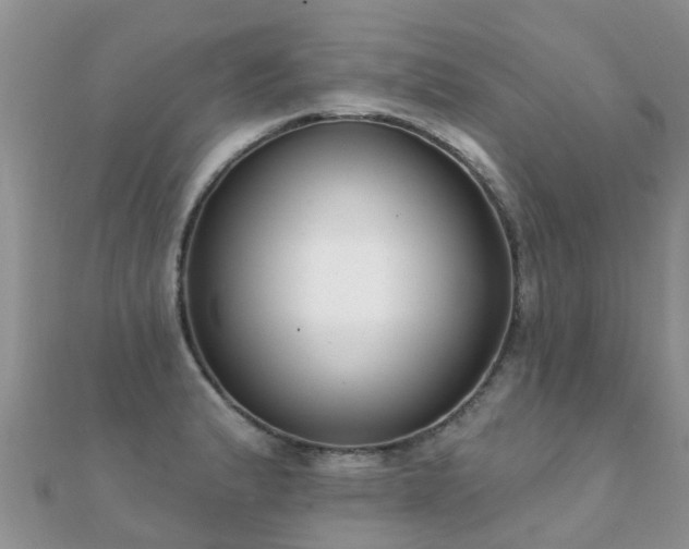 X0000112081183200908111448