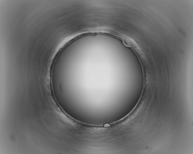 X0000112081184200908111448