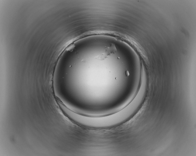 X0000112081185200908111448