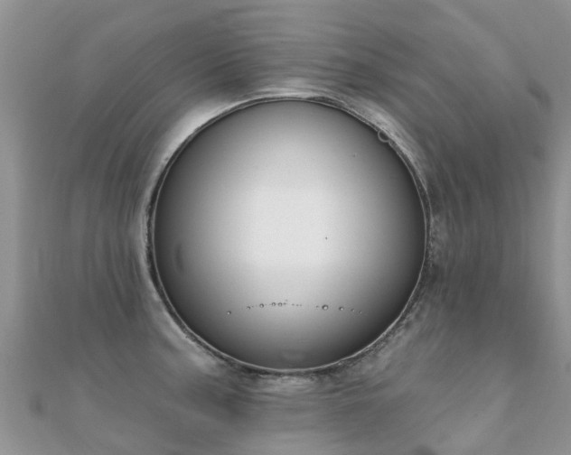X0000112081187200908111448