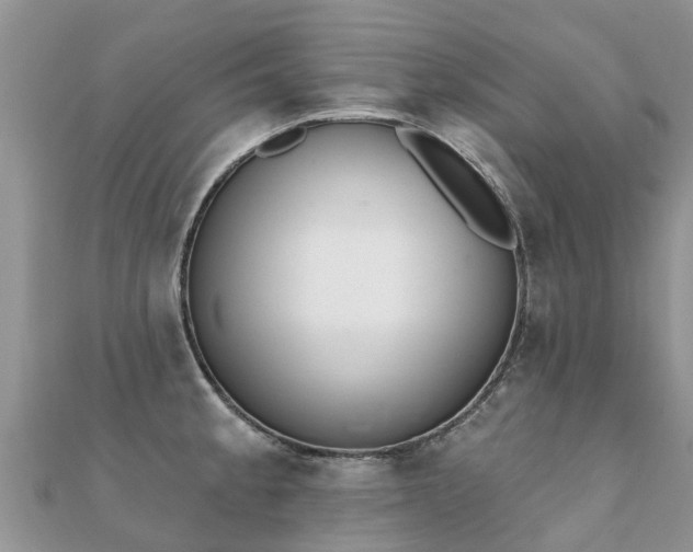 X0000112081189200908111448