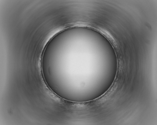 X0000112081190200908111448