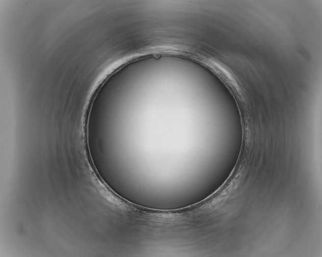 X0000112081192200908111448