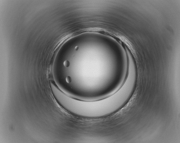 X0000112081193200908111448